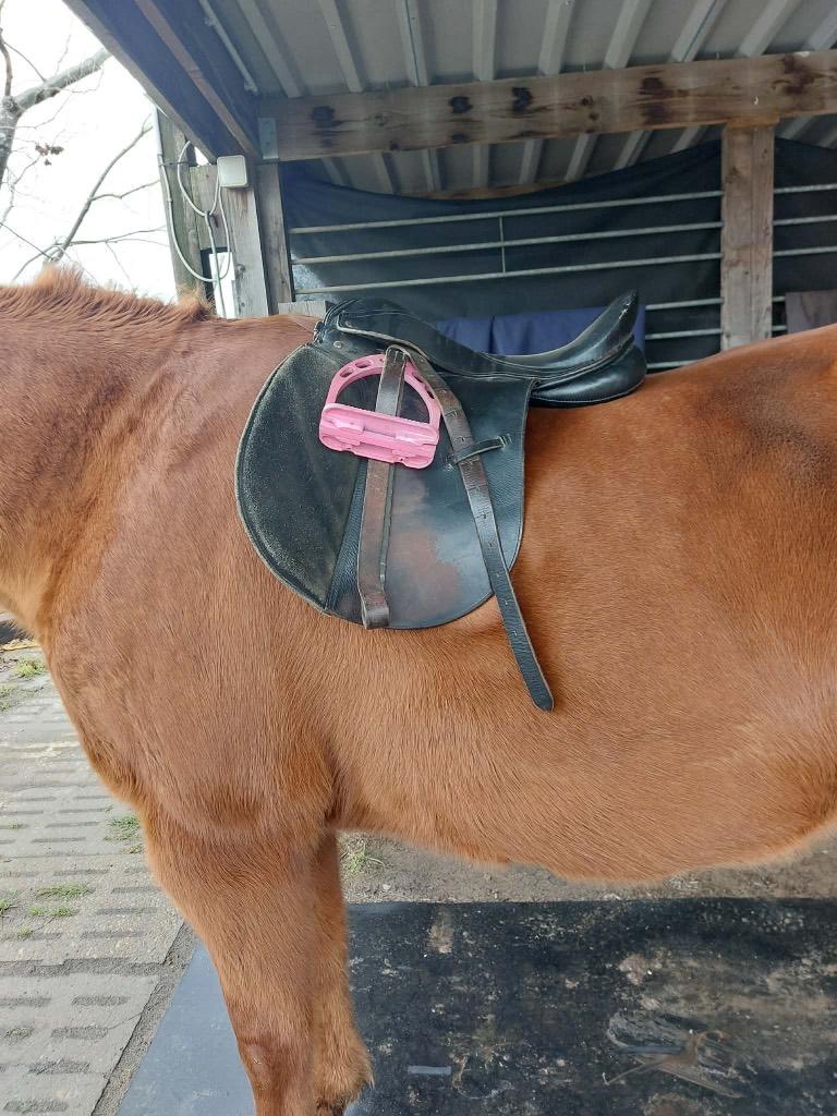 Zadel, Ophalen, Gebruikt, Recreatie