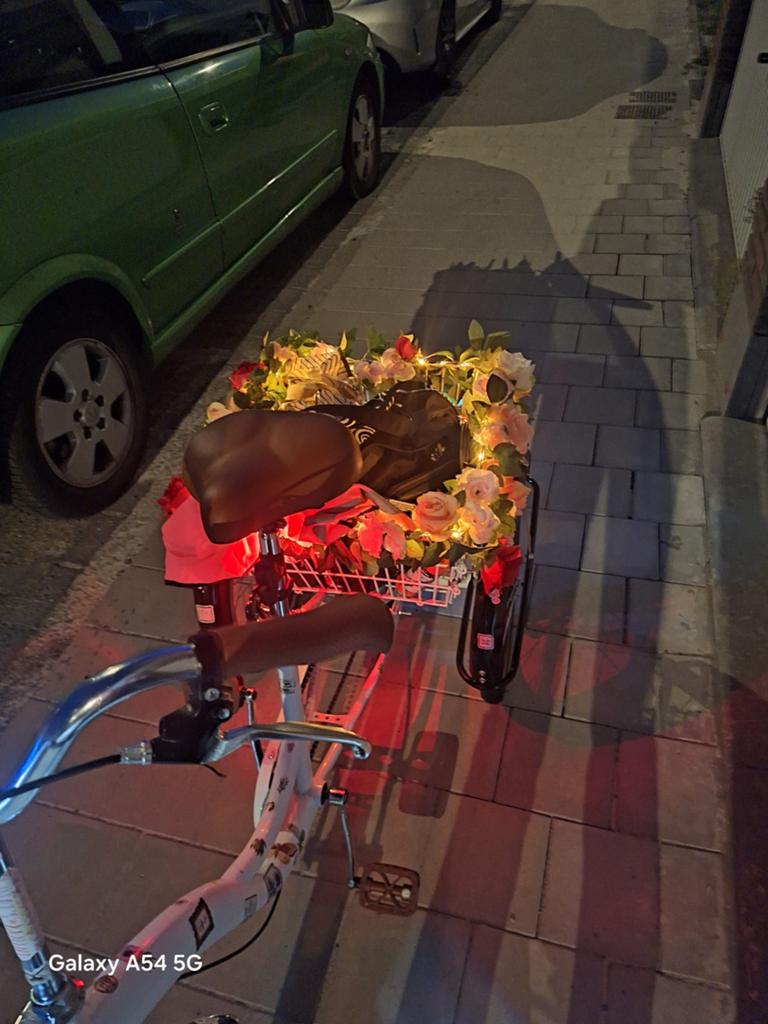 Driewieler fiets, Fietsen en Brommers, Ophalen, Nieuw, Schijfrem, Verstelbare zitting