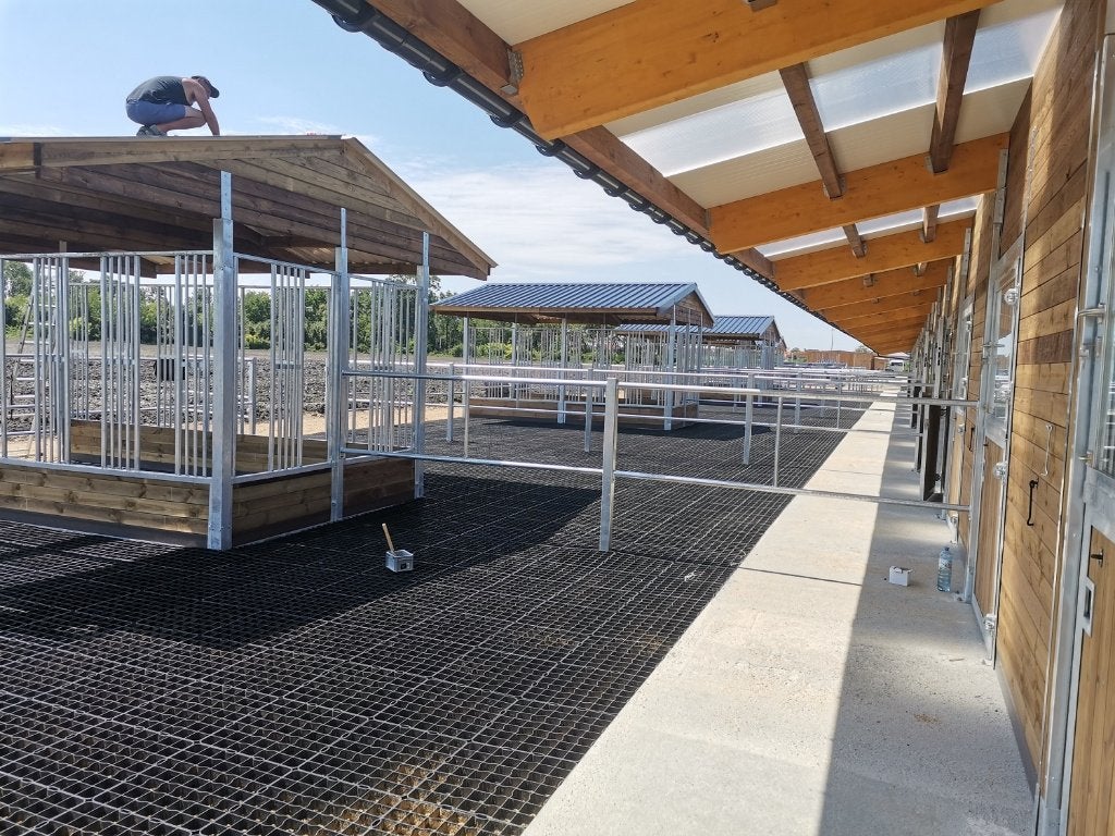 Hooiruif voor Paarden, Paardenhooiruif voor Weide & Paddock, Opfok