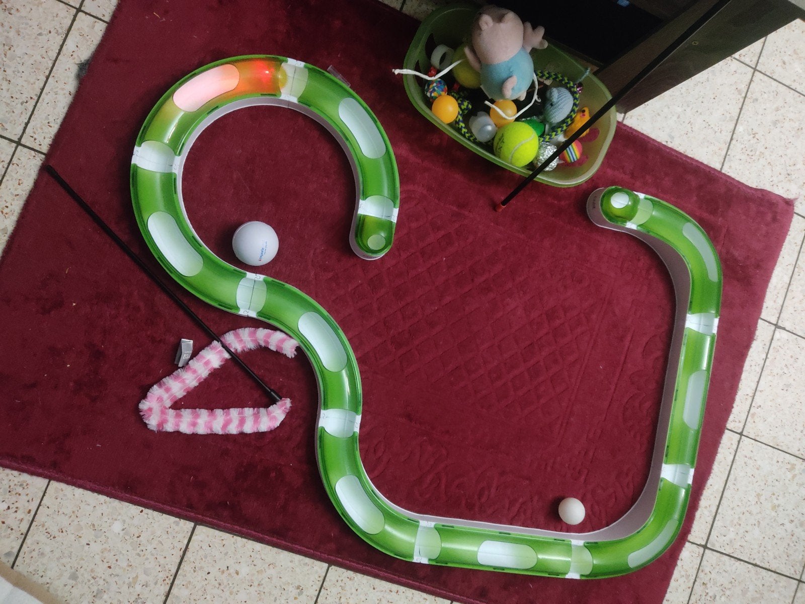 accessoires pour chat, Enlèvement