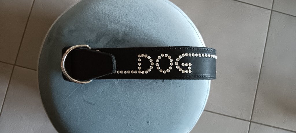 Collier pour chien en cuir !, Animaux & Accessoires, Accessoires pour chiens, Enlèvement, Neuf, Collier
