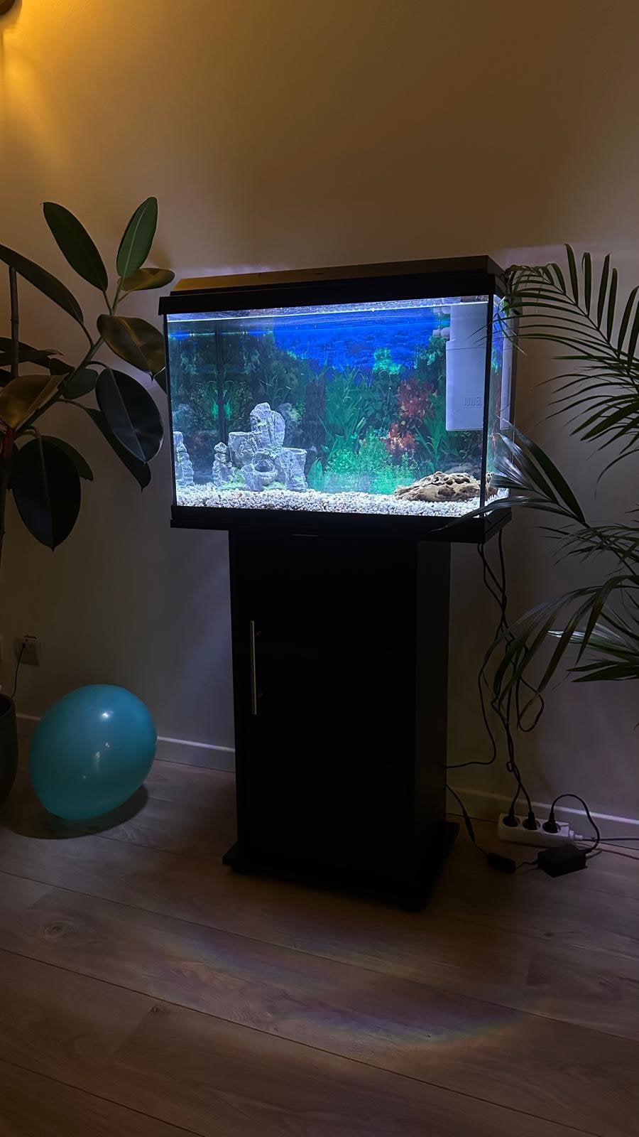 Aquarium 70 l  met gusppies (of zonder), Dieren en Toebehoren, Ophalen, Gebruikt, Inclusief vissen, Juwel