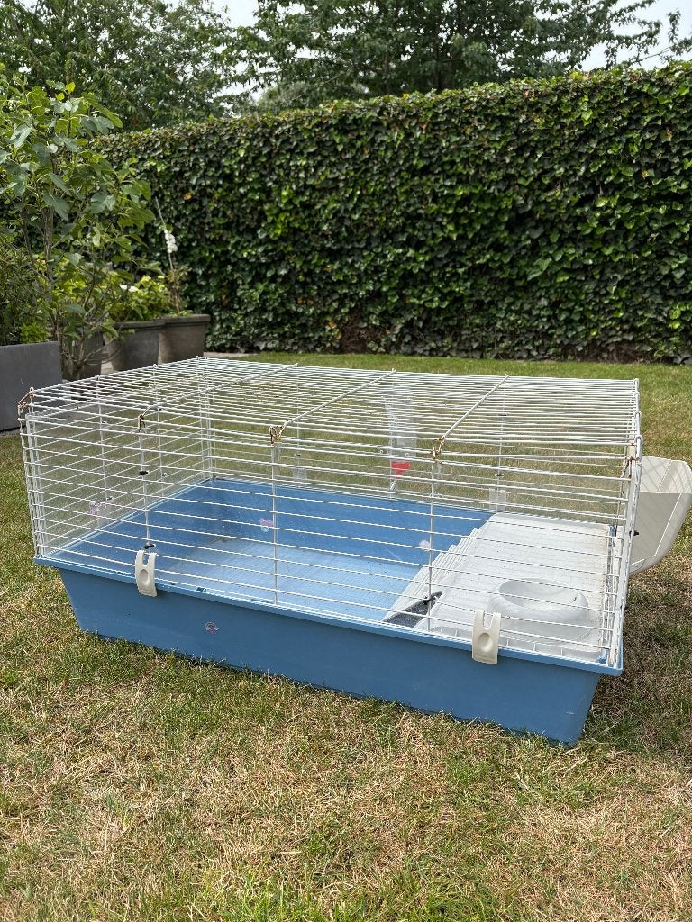 cavia kooi hok, Animaux & Accessoires, Rongeurs & Lapins | Cages & Clapiers, Cobaye, Niche, Moins de 60 cm, 75 à 110 cm
