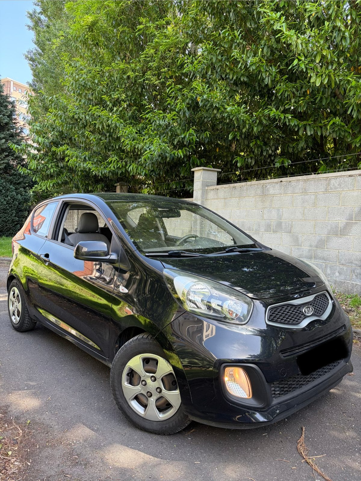 Kia Picanto prête a immatriculer !, Euro 5, Achat, Particulier, Picanto