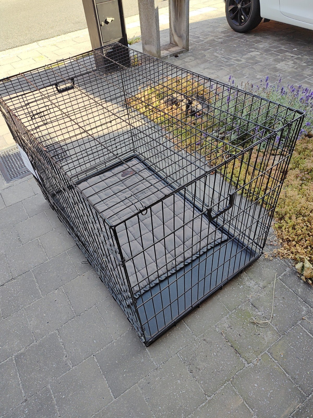 Hondenbench feamdrea zwart met ligtapijt, Dieren en Toebehoren, Ophalen, Zo goed als nieuw