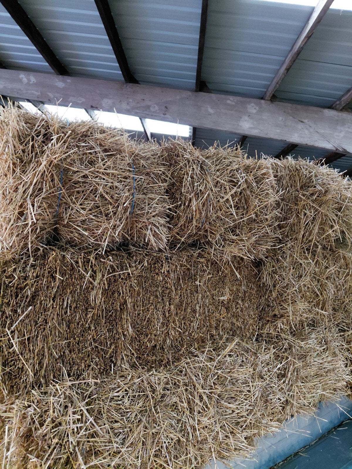 foin à vendre, Animaux & Accessoires, Enlèvement