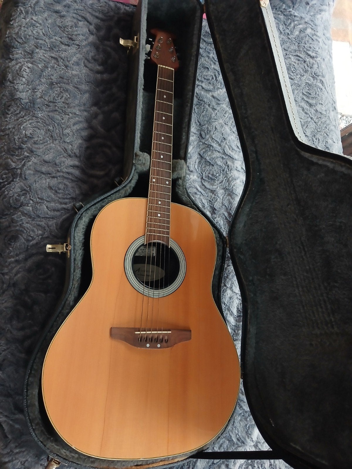 semi akoestische gitaar, Ophalen, Gebruikt, Overige typen, Met koffer