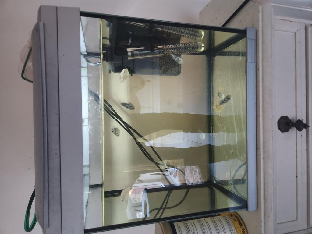 40l aquarium, Dieren en Toebehoren, Ophalen of Verzenden