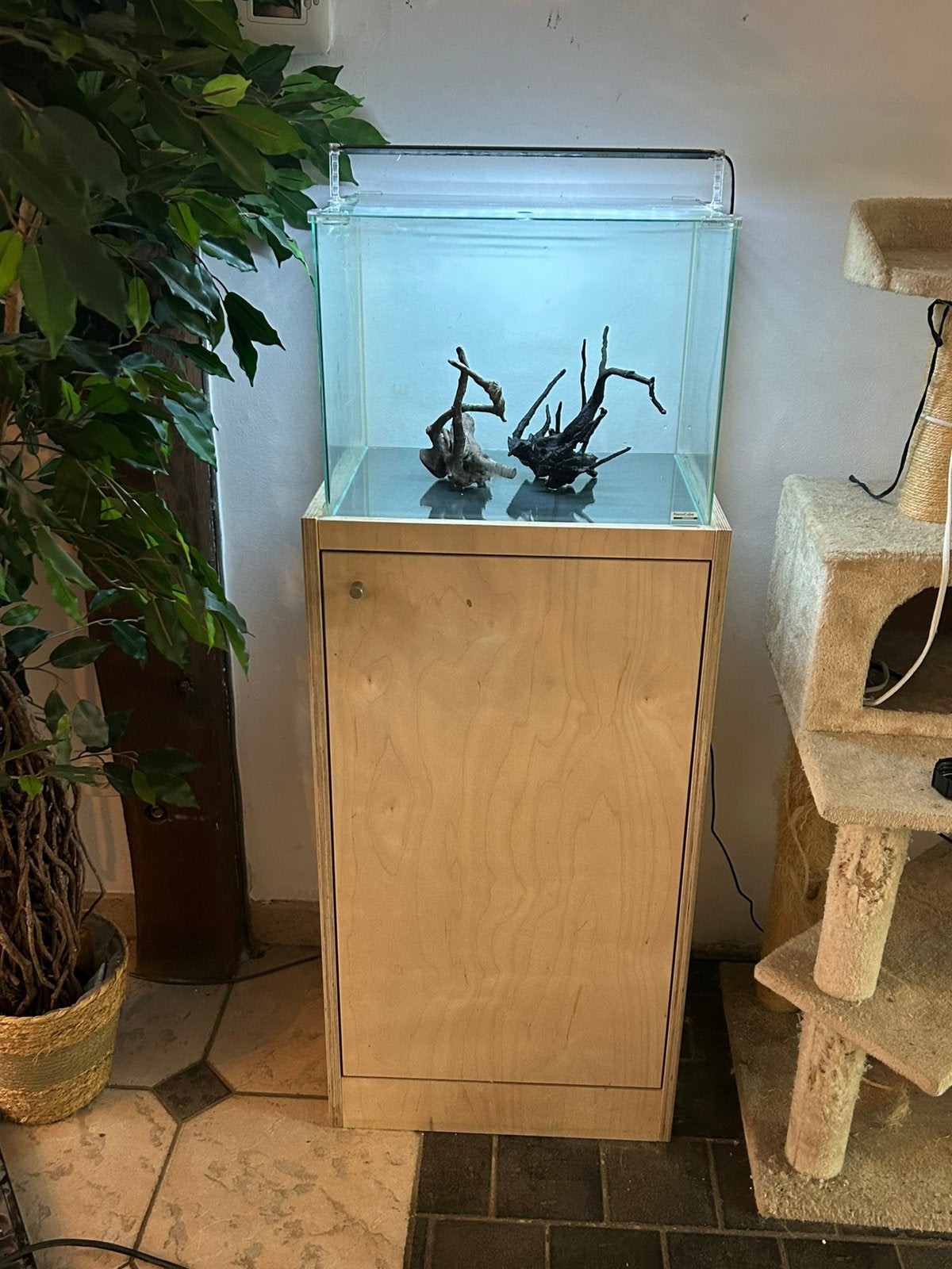 Aquarium nanocube denerle L 45X l 36 X h 36, Animaux & Accessoires, Poissons | Aquariums & Accessoires, Dennerle, Enlèvement, Utilisé