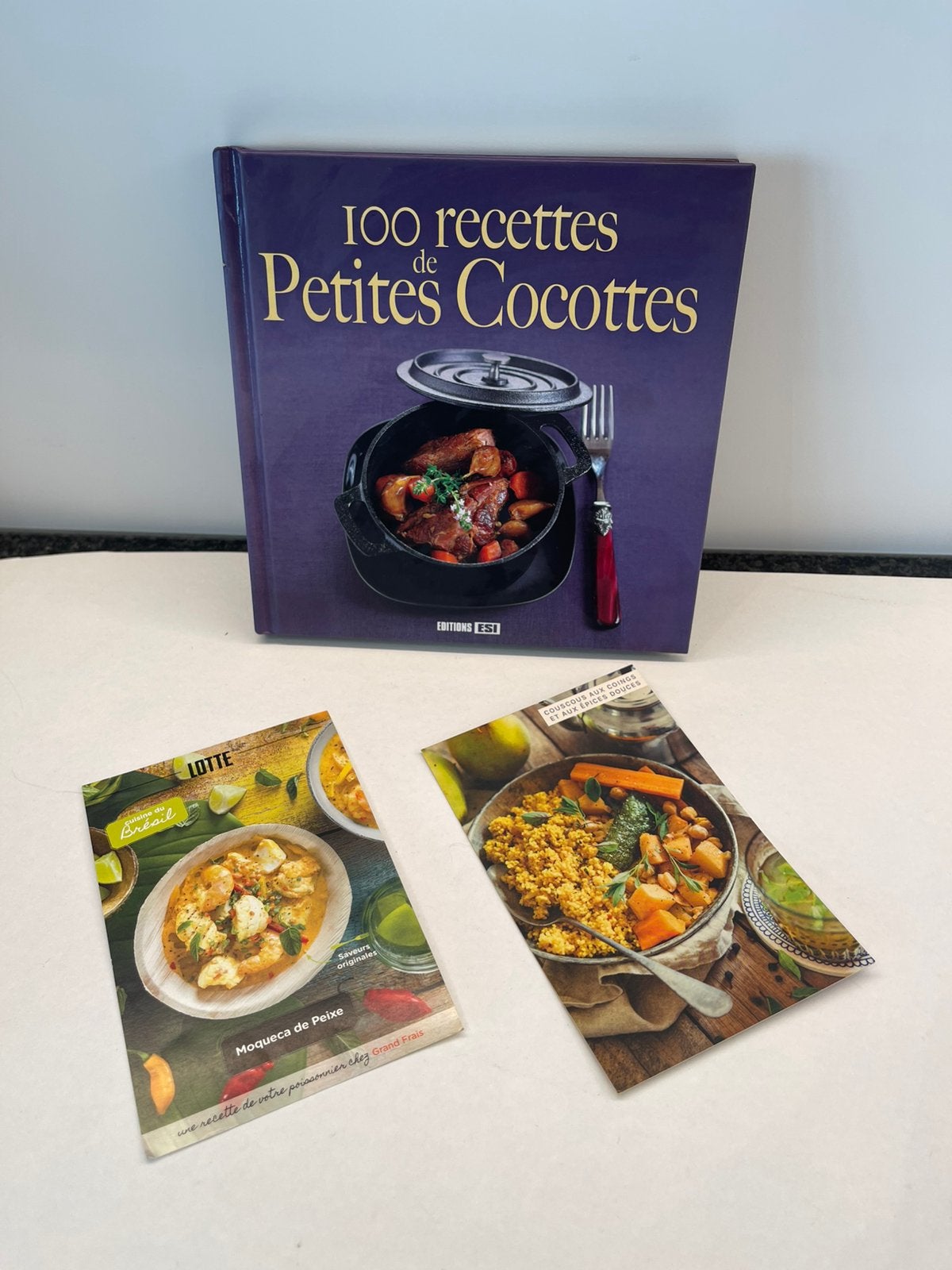 Kookboek: "100 recettes de Petites Cocottes", Ophalen of Verzenden, Zo goed als nieuw