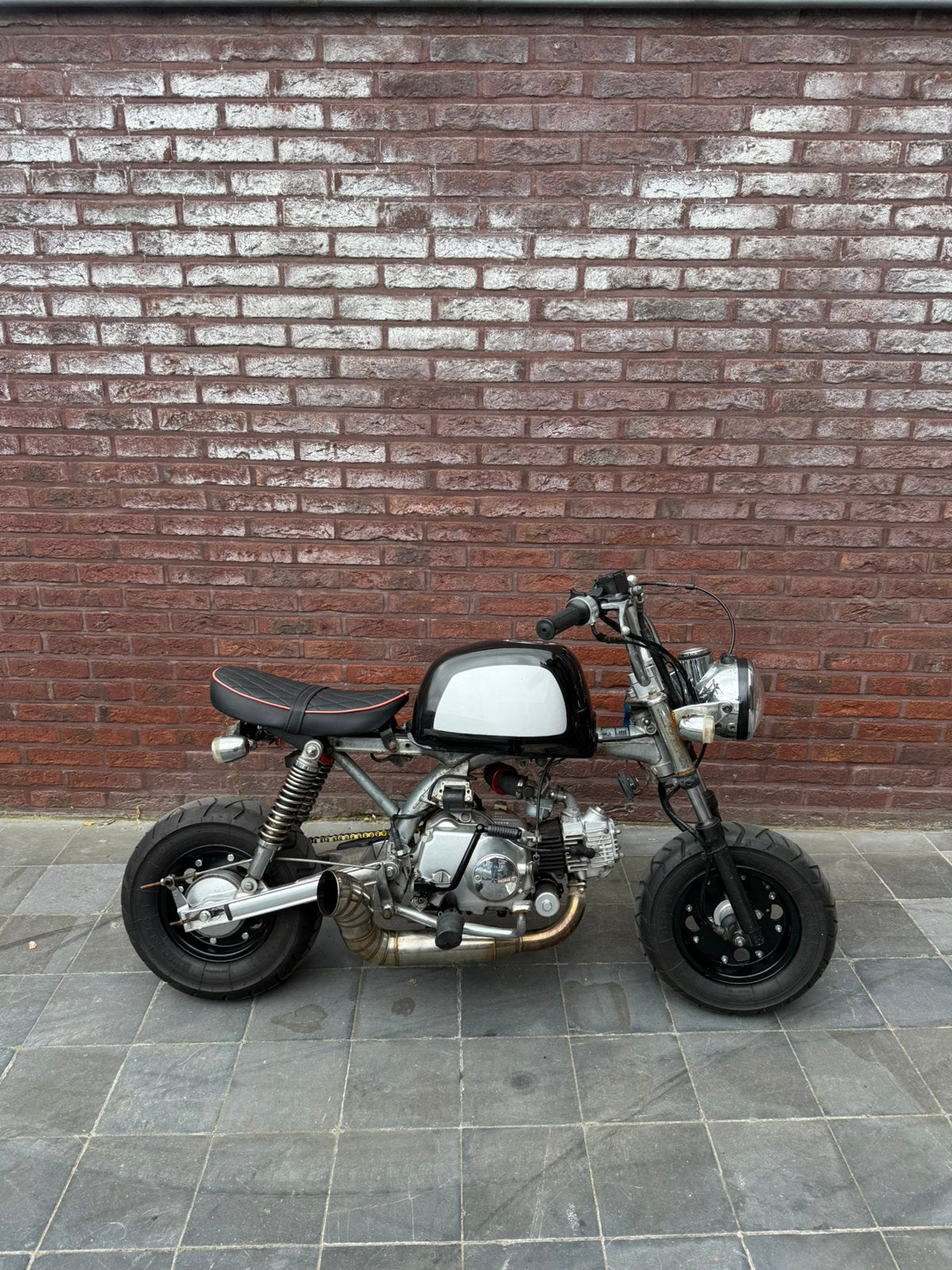 GORILLA 50 cc, Enlèvement