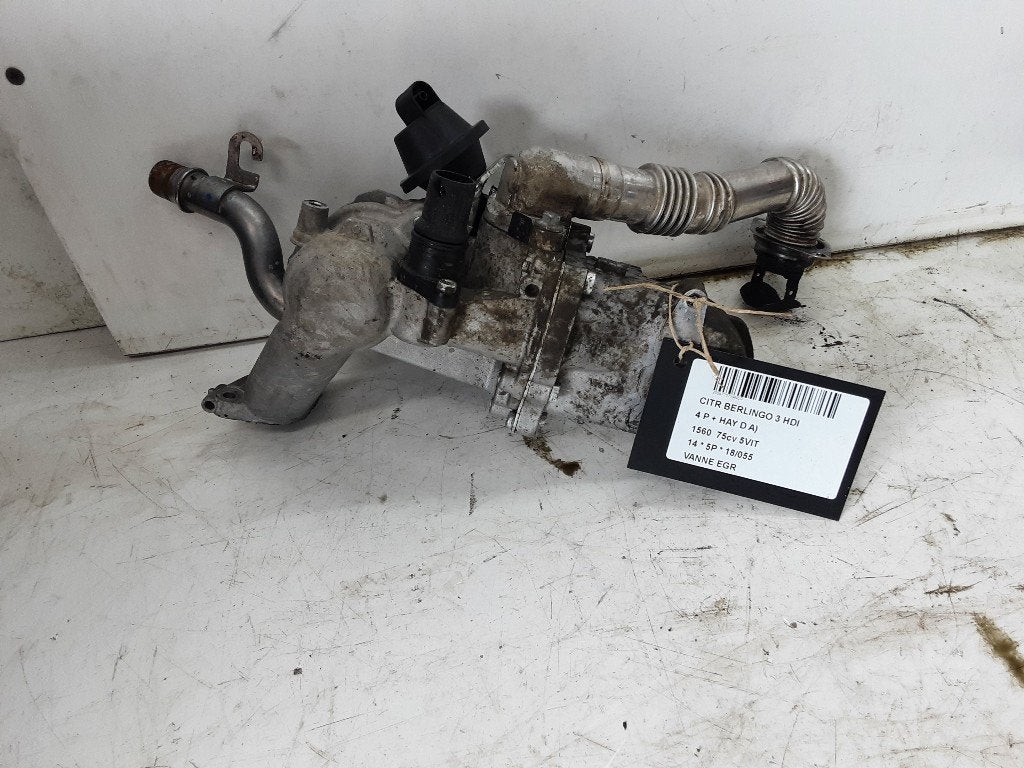 VANNE EGR Citroën Berlingo (01-2008/04-2021) (702209080), Citroën, Mevr. I. Hauben, Utilisé, Rue de l'Espoir 34 34
4030  GRIVEGNÉE, BE