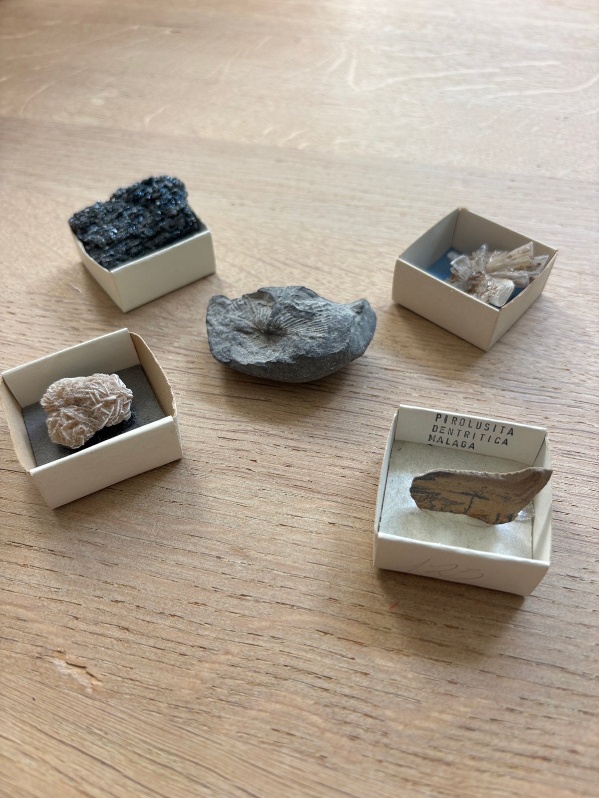 collection de petits spécimens de minéraux et de roches, Collections, Enlèvement ou Envoi