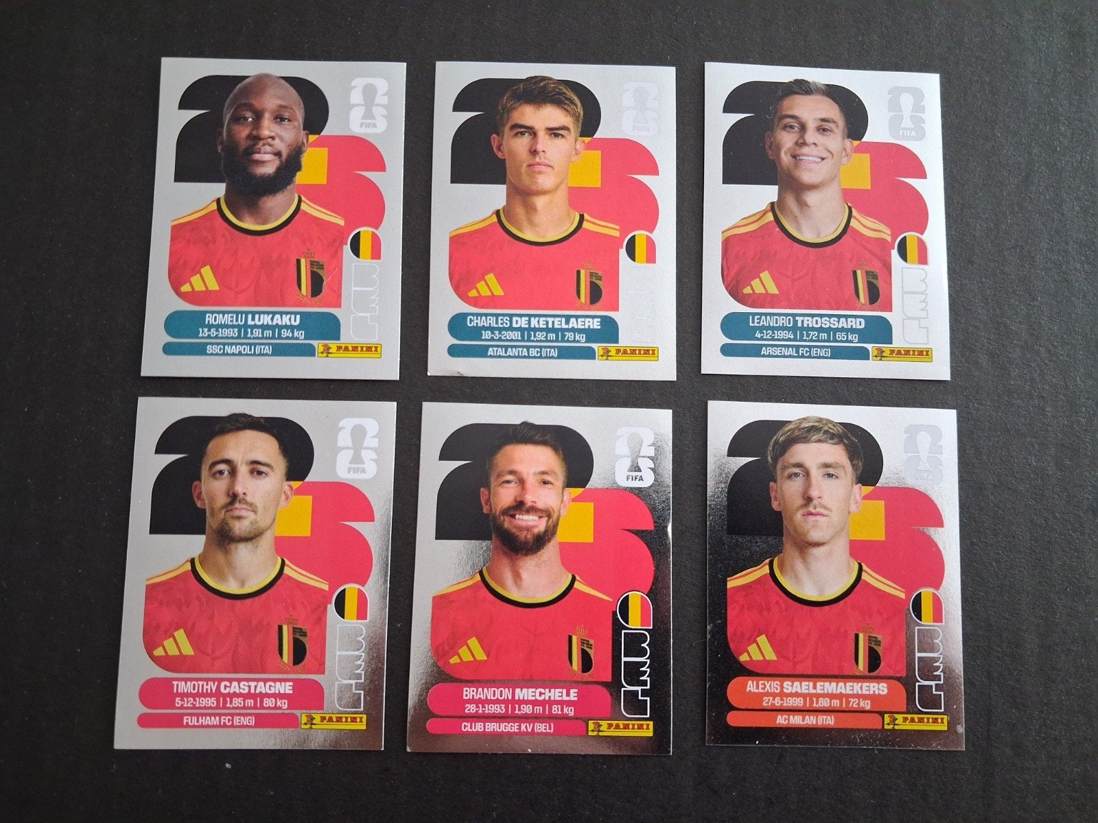 Panini Coupe du Monde de la FIFA 2026 « 6 autocollants argen, Envoi, Neuf, Sport