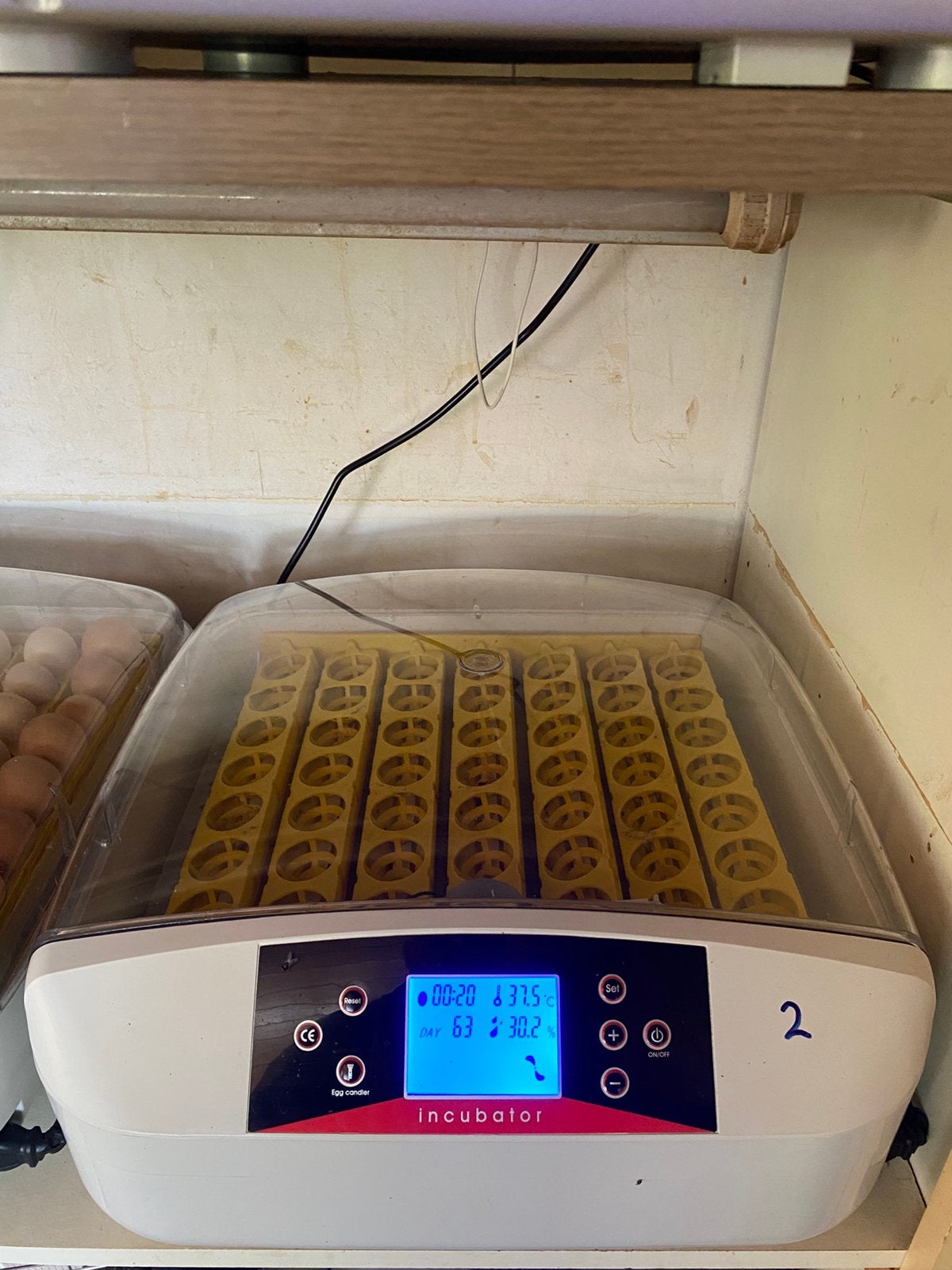 2 broedmachines van het merk HDD 56s, Dieren en Toebehoren, Pluimvee | Toebehoren, Ophalen, Zo goed als nieuw, Broedmachine