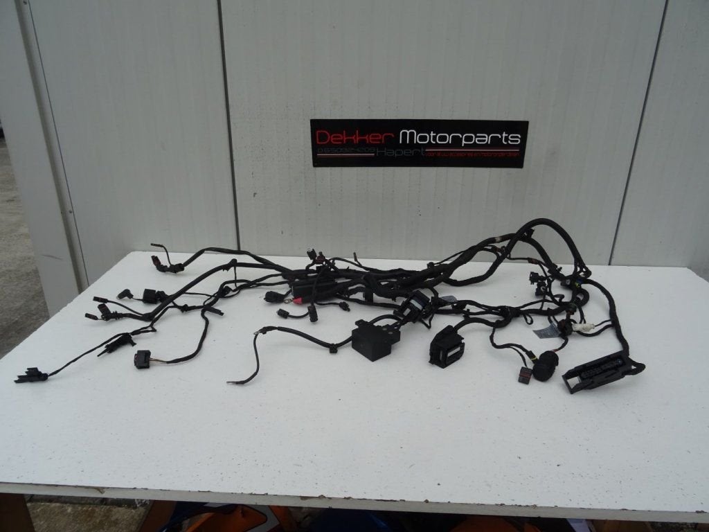 Kabelboom Compleet BMW F650GS 2008-2009-2010-2011-2012, -, Utilisé, -, -
