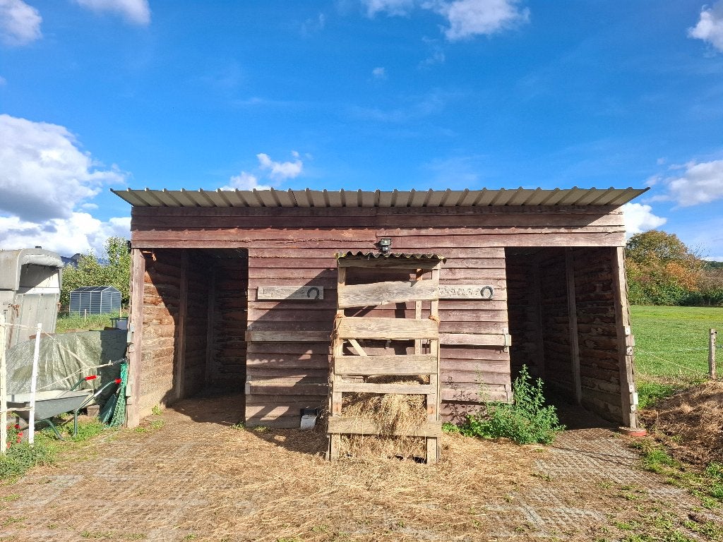 Abri chevaux, 2 ou 3 chevaux ou poneys
