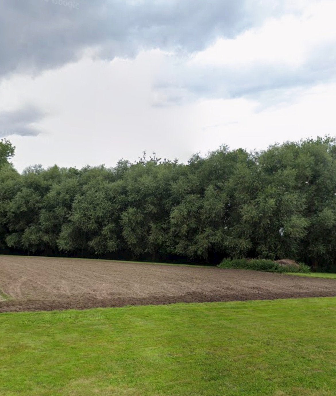 Gratis wilgen snoeien – brandhout, Tuin en Terras, Brandhout, Ophalen