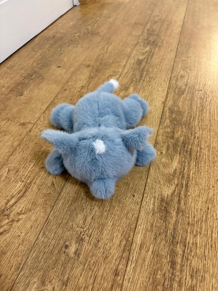 Pluche olifant knuffel - Pari Daiza, Enlèvement ou Envoi, Neuf, Bleu, Éléphant