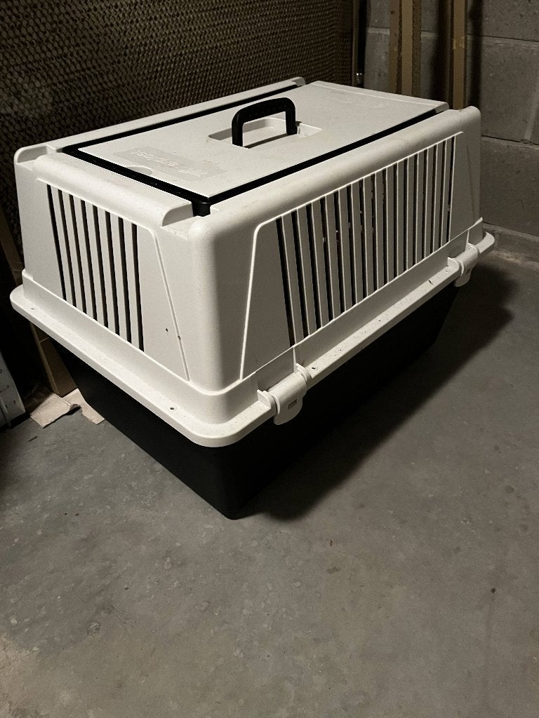 Cage de transport Savic pour grand chien – Très bon état, Enlèvement, Comme neuf