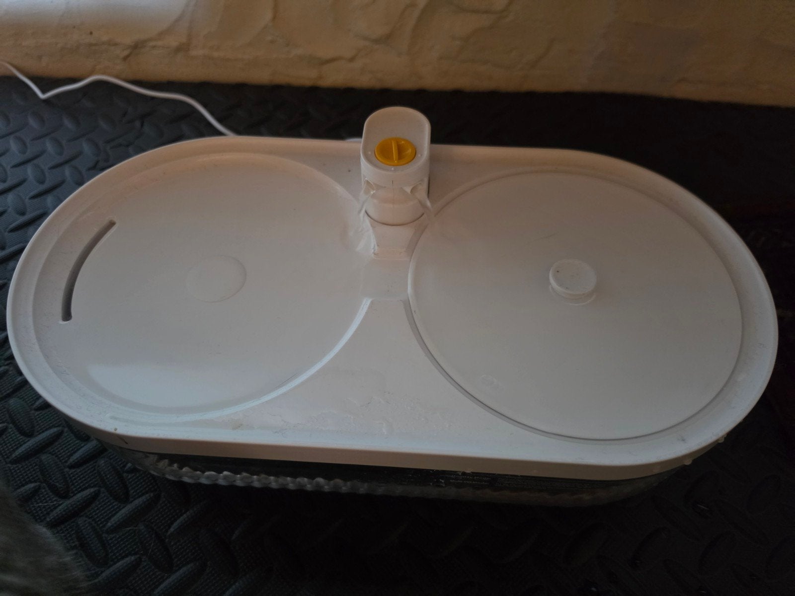 katten drink fontein, Ophalen, Automatisch, Nieuw