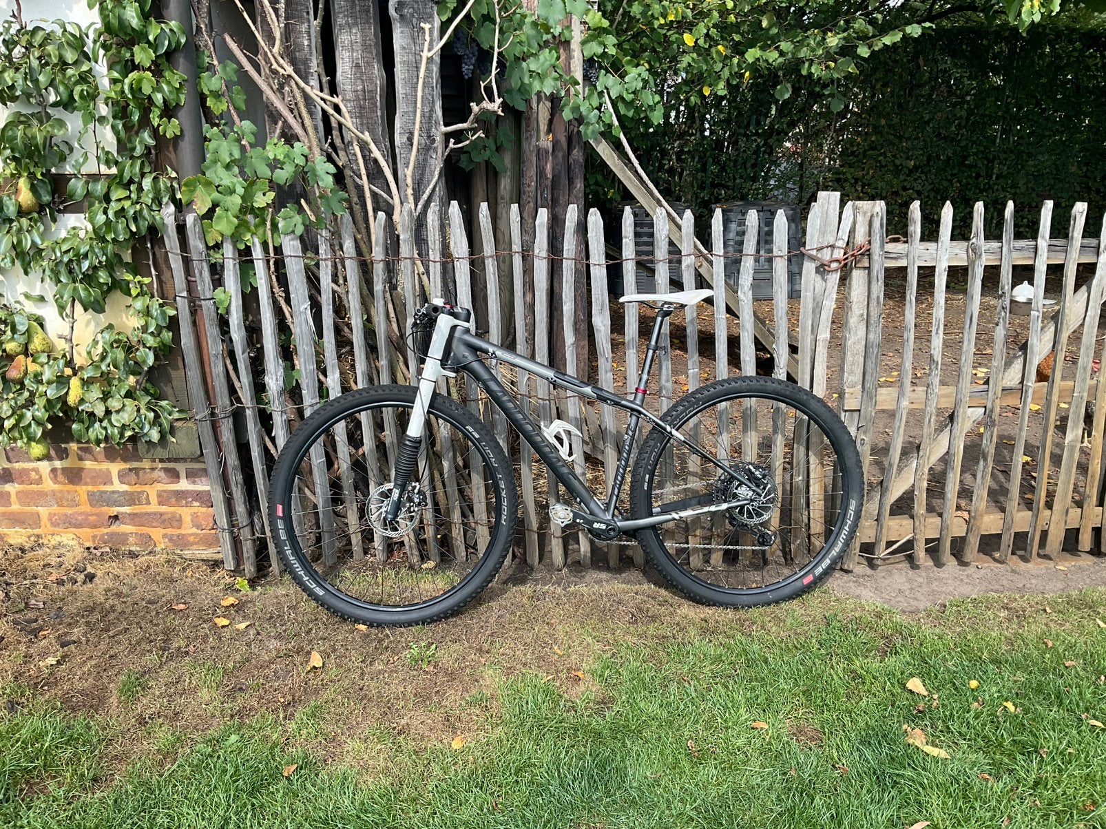 MTB Cannondale F29 Lefty - full carbon - maat M, Gebruikt, Hardtail, Heren, 49 tot 53 cm
