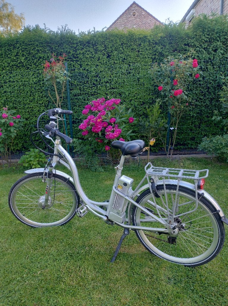 TE KOOP, Fietsen en Brommers, Elektrische fietsen, Gebruikt, 59 cm of meer, 30 tot 50 km per accu, Ophalen