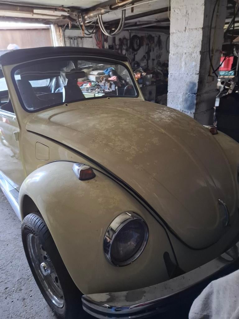 Cox cabriolet, Autos, Entreprise, Achat, Cabriolet