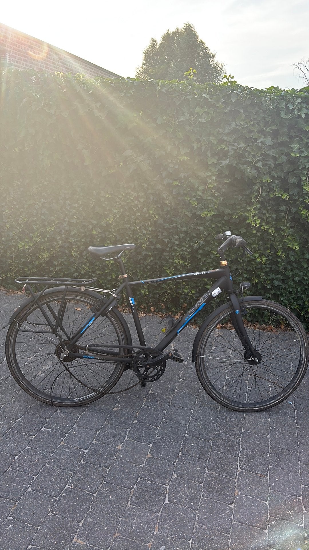 2 oude fietsen, Gebruikt, 57 cm of meer, Velgrem, Geen vering