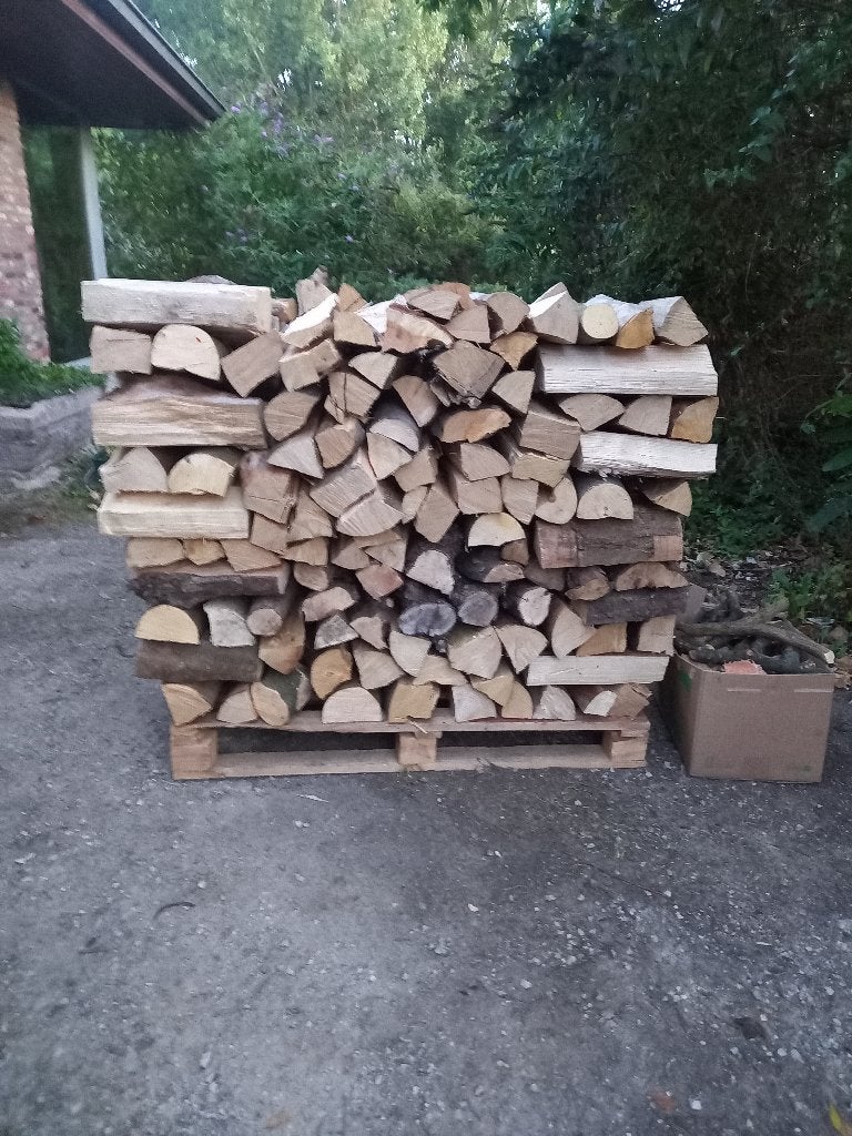 BOIS DUR SEC À VENDRE, Enlèvement, Frêne, Bûches
