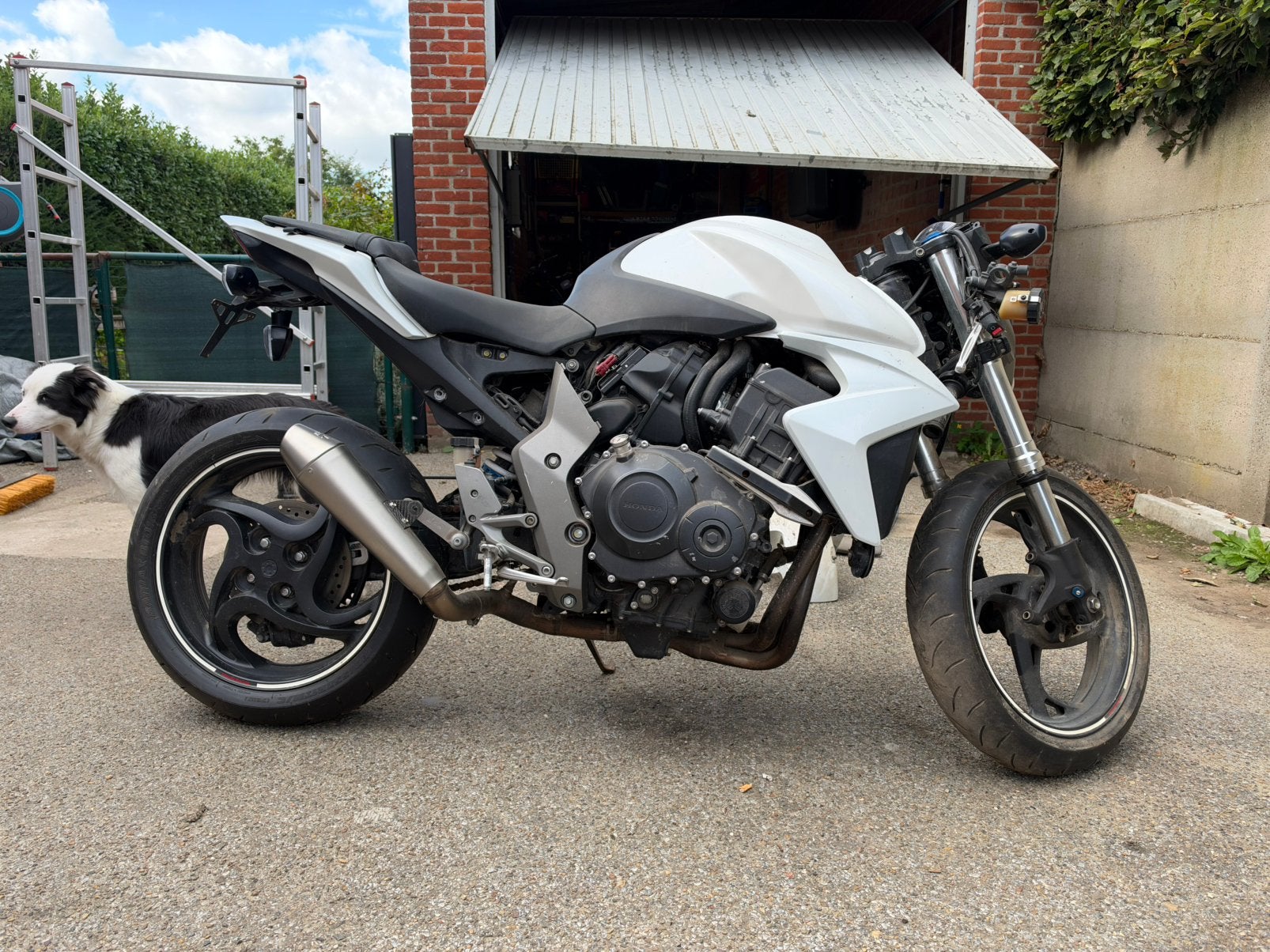Honda cb1000R, Motoren, Particulier