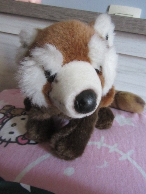 Knuffelbeer : rode panda -- beer -- pluche, Kinderen en Baby's, Gebruikt, Overige merken, Overige karakters, Overige typen