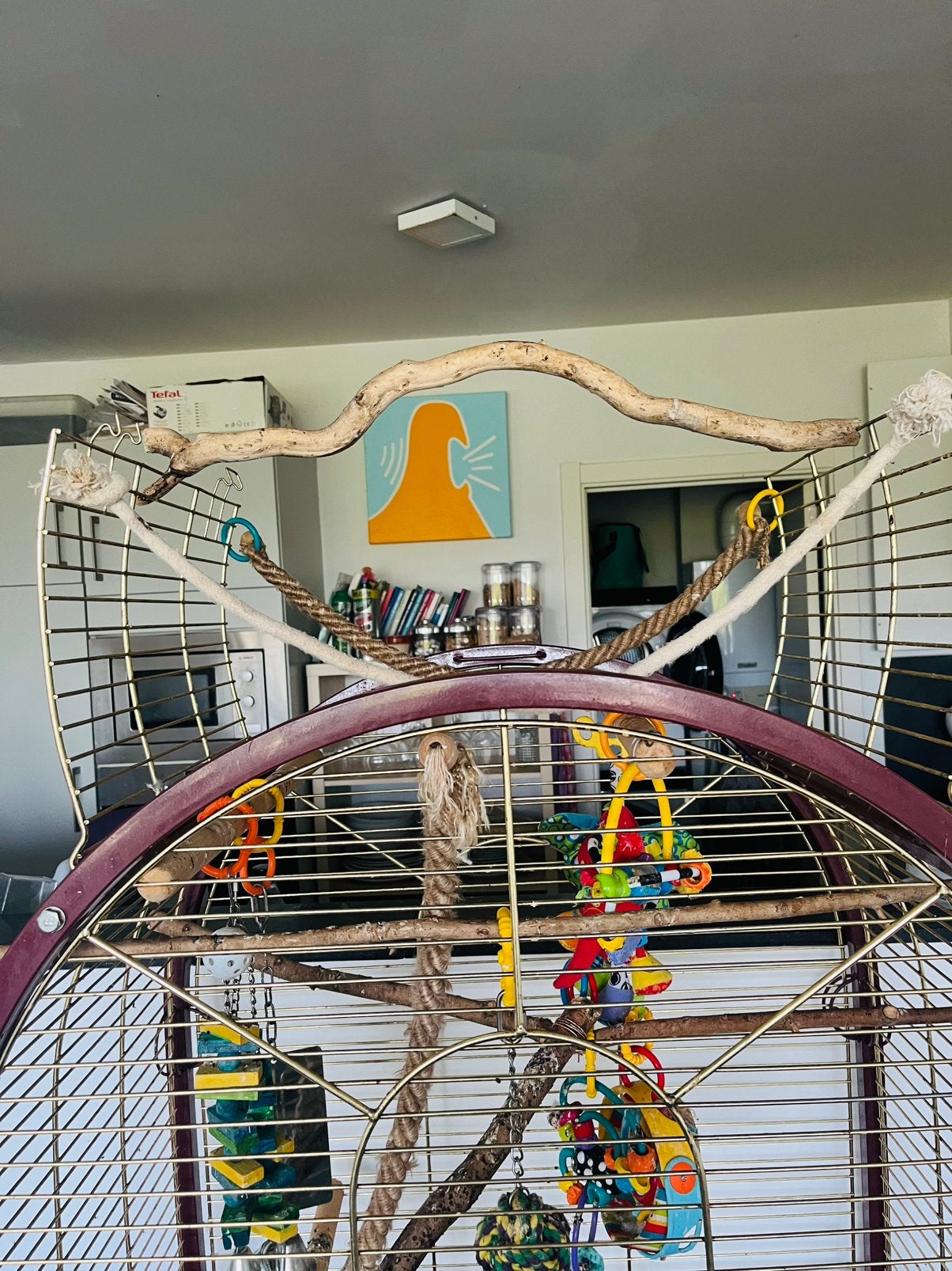 Grande cage à oiseaux pour perruches ou perroquets, Animaux & Accessoires, Perruche