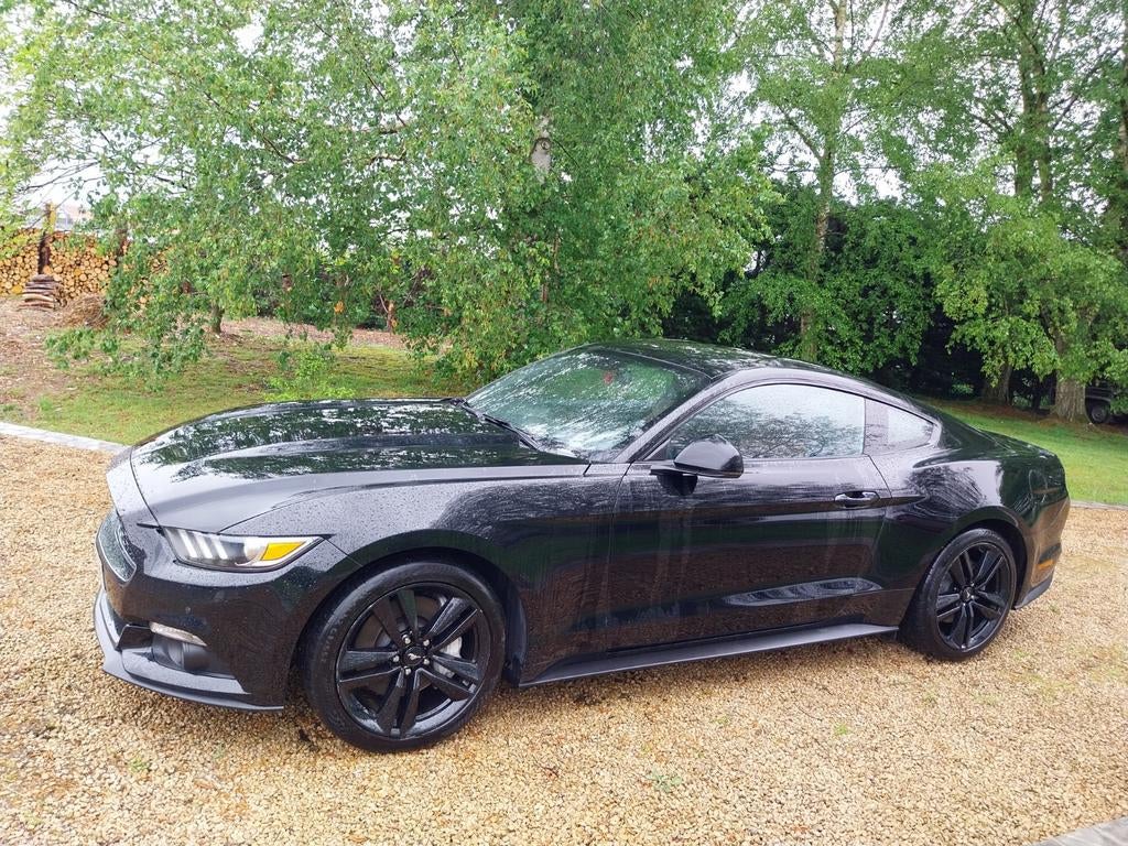 Ford Mustang Fastback 2.3, Autos, Particulier, Achat
