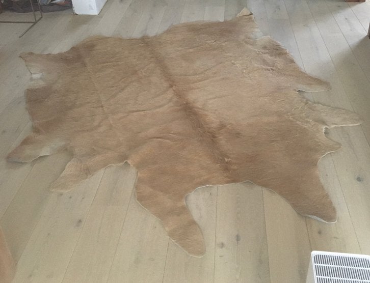 Camel dierenhuid tapijt koe, Ophalen of Verzenden, Zo goed als nieuw