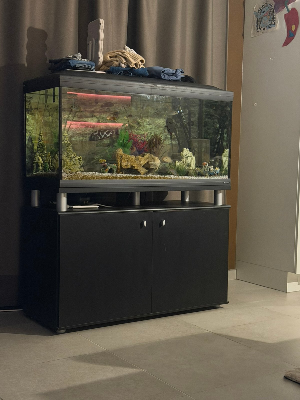 Complete aqarium, Dieren en Toebehoren, Ophalen, Pomp, Zo goed als nieuw, Decoratie