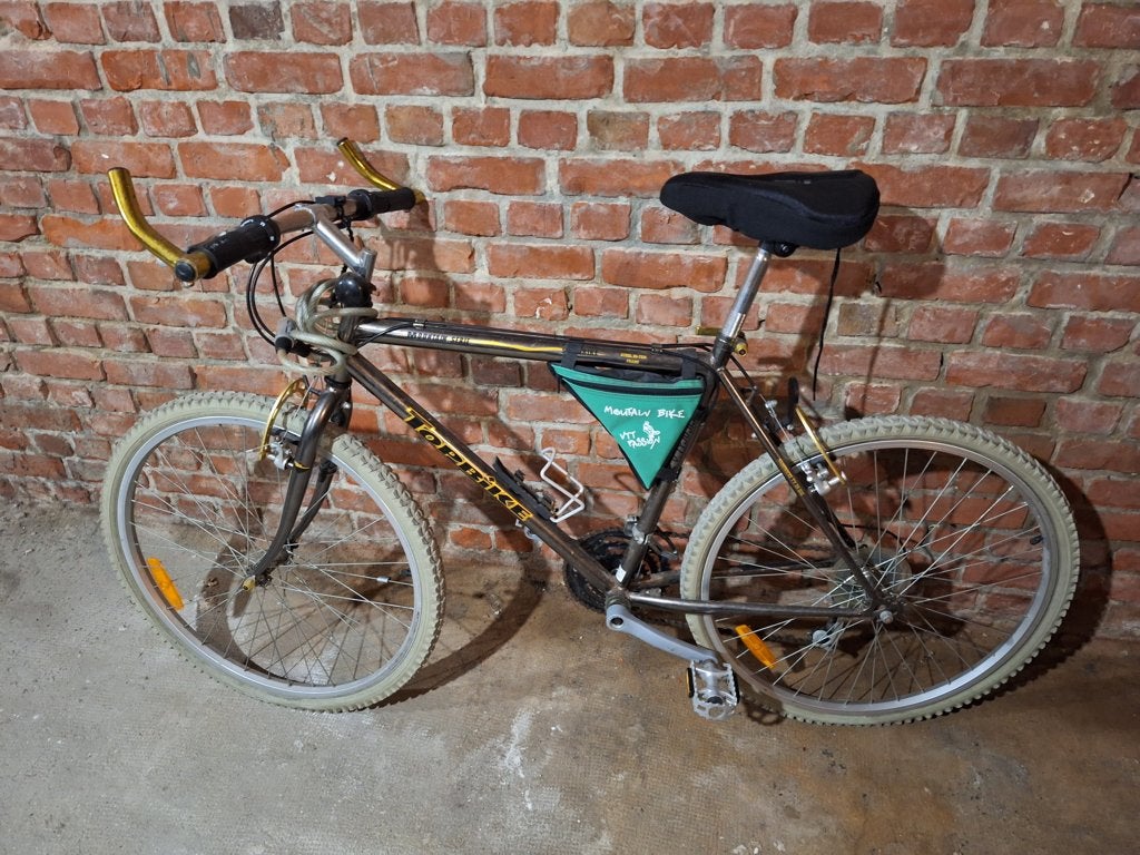2 Vélos Adulte pour 50euros, Sports & Fitness, Enlèvement, Utilisé