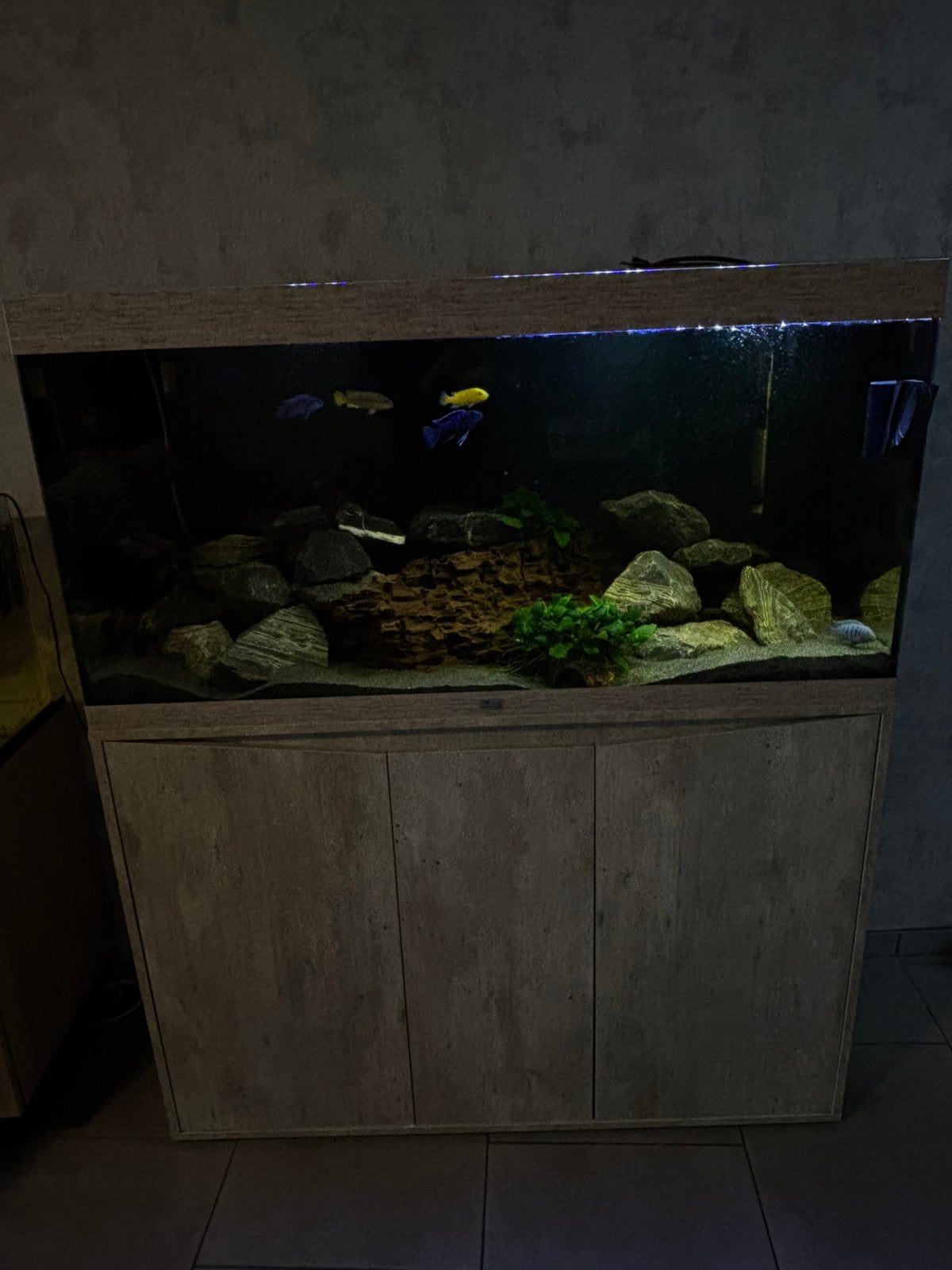 Aquarium Aquatlantis, Animaux & Accessoires, Poissons | Aquariums & Accessoires, Comme neuf, Aquatlantis, Enlèvement