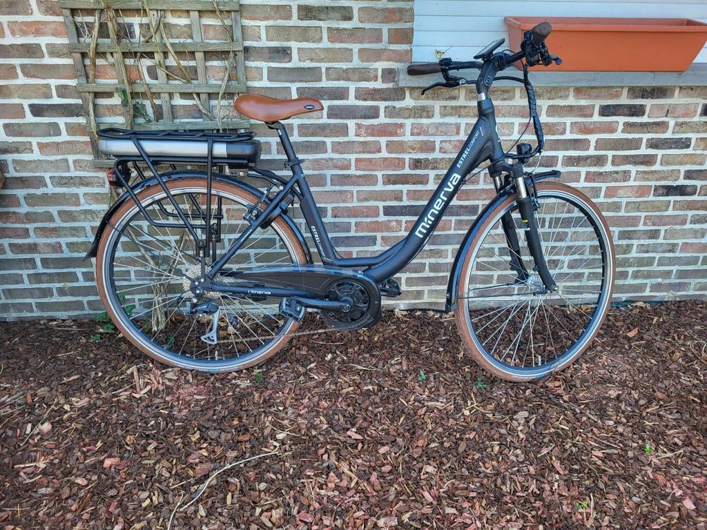 Snelle ebike, Fietsen en Brommers, Ophalen