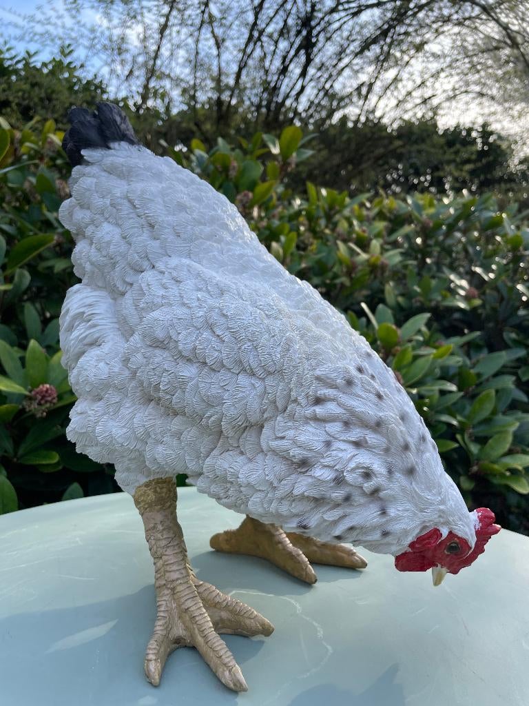 Beeld kip wit, tuin, vijver, gazon, boerderij 35cm, Tuin en Terras, Ophalen, Nieuw, Kunststof, Dierenbeeld
