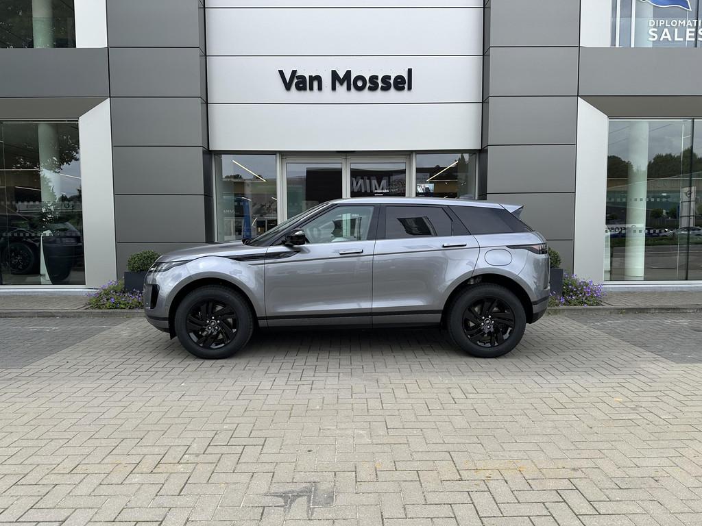 Land Rover Range Rover Evoque P270e S AWD Auto. 26MY, Cuir, Argent ou Gris, Achat, Entreprise
