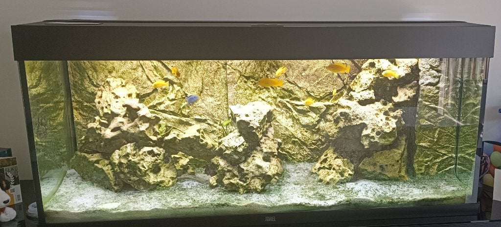 Maanstenen, Dieren en Toebehoren, Ophalen, Gebruikt, Decoratie