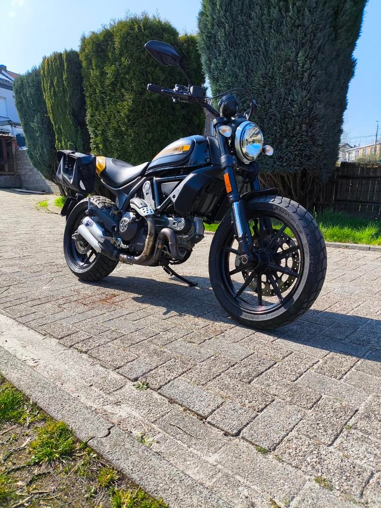 Ducati scrambler 800
