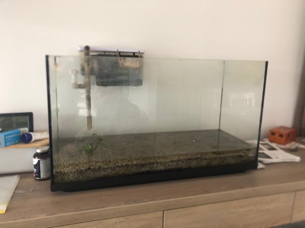 Aquarium 80liter, Dieren en Toebehoren, Ophalen, Verwarming, Gebruikt, Leeg aquarium