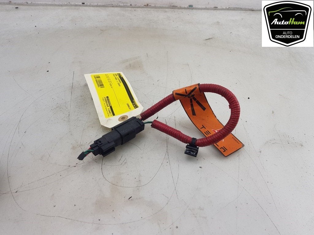 CABLE Tesla Model S (01-2012/02-2016) (|101558500A|), Dhr. J. Ham, Administratie@autoham.nl, Utilisé, Autres marques automobiles