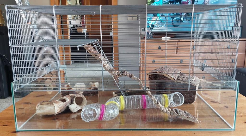 Cage pour rongeurs - Gerbilles - Hamster - ..., Enlèvement, Cage, Hamster