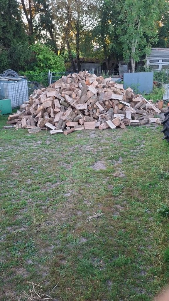 Bois de chauffage sec pour préparer l'hiver, 3 à 6 m³, Enlèvement, Hêtre, Bûches