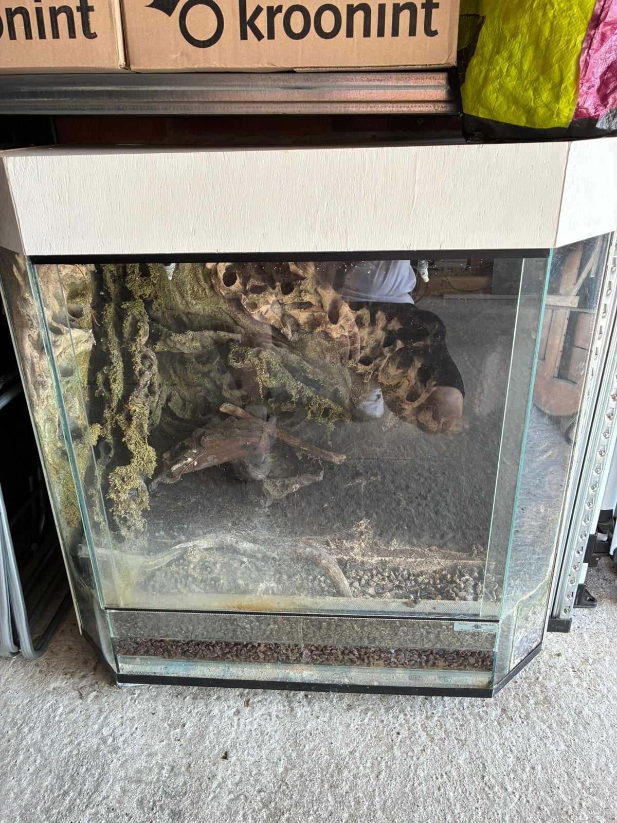 Paludarium, Ophalen, Gebruikt