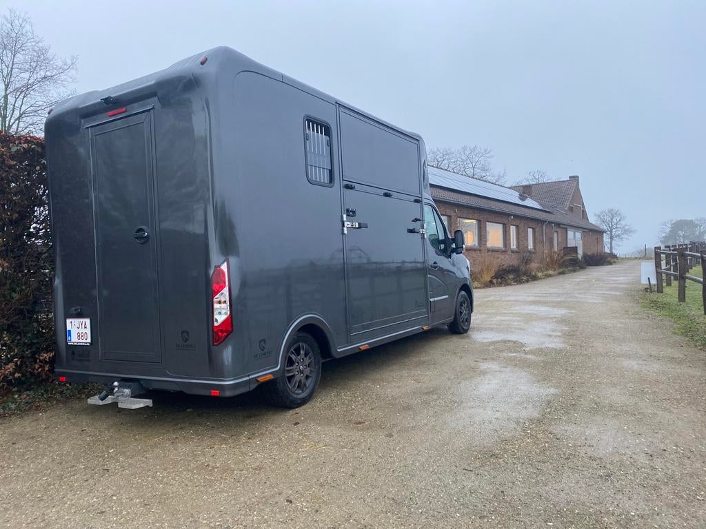 Paardentaxi