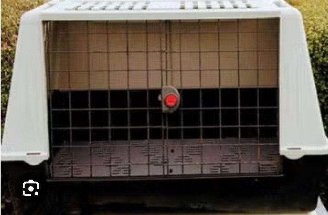 cage de transport pour chiens, Enlèvement